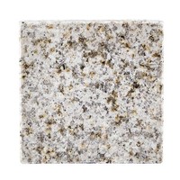 Galzone Glass Coaster Granite