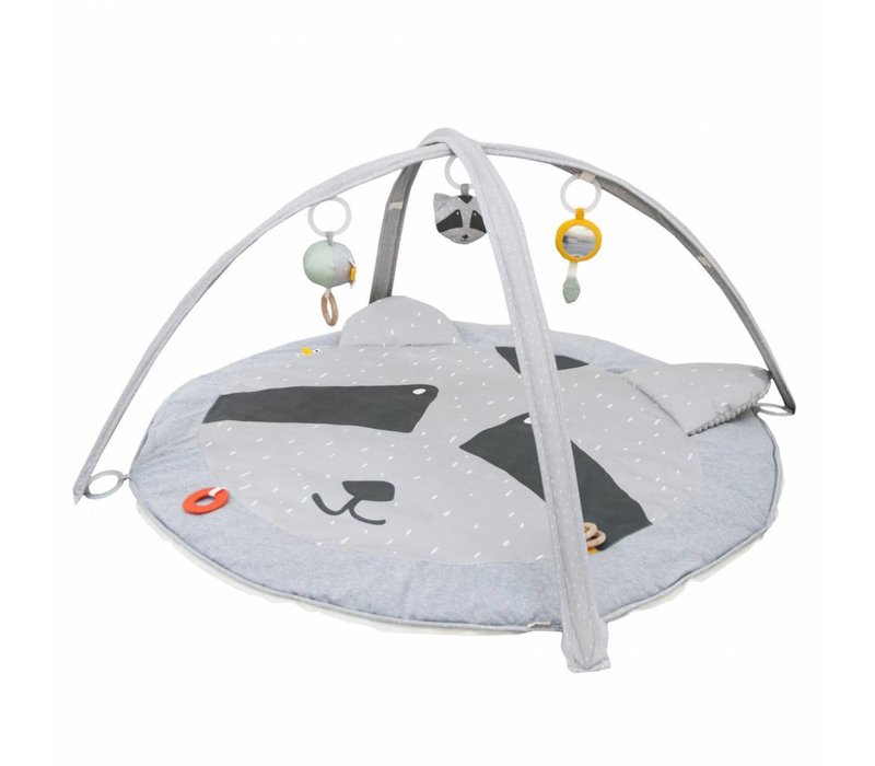 Trixie Activity Play Mat Mr. Raccoon