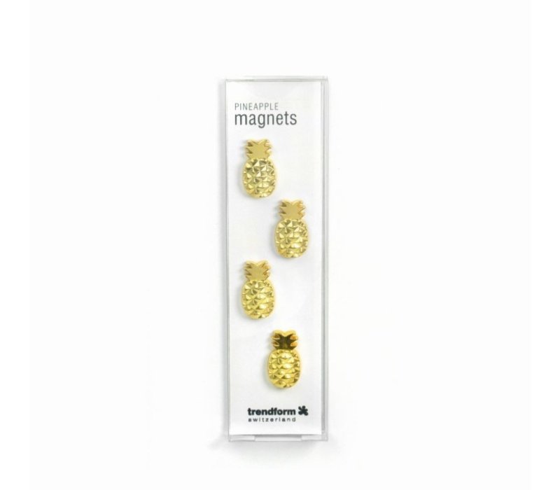 Trendform set van 4 Pineapple Magnets