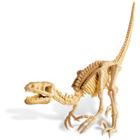 4M KidzLabs Dinosaur Graaf Je Dinosaurus Op: Velociraptor