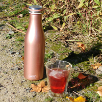 Lurch Bouteille à Double Isolation Acier Inoxydable Or Rosé 500 ml