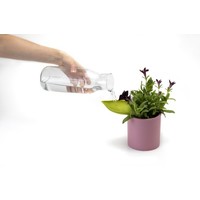 Peleg Design Leaflow Pot Watering Funnel