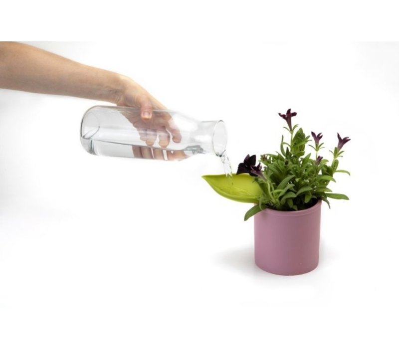 Peleg Design Leaflow Pot Watering Funnel