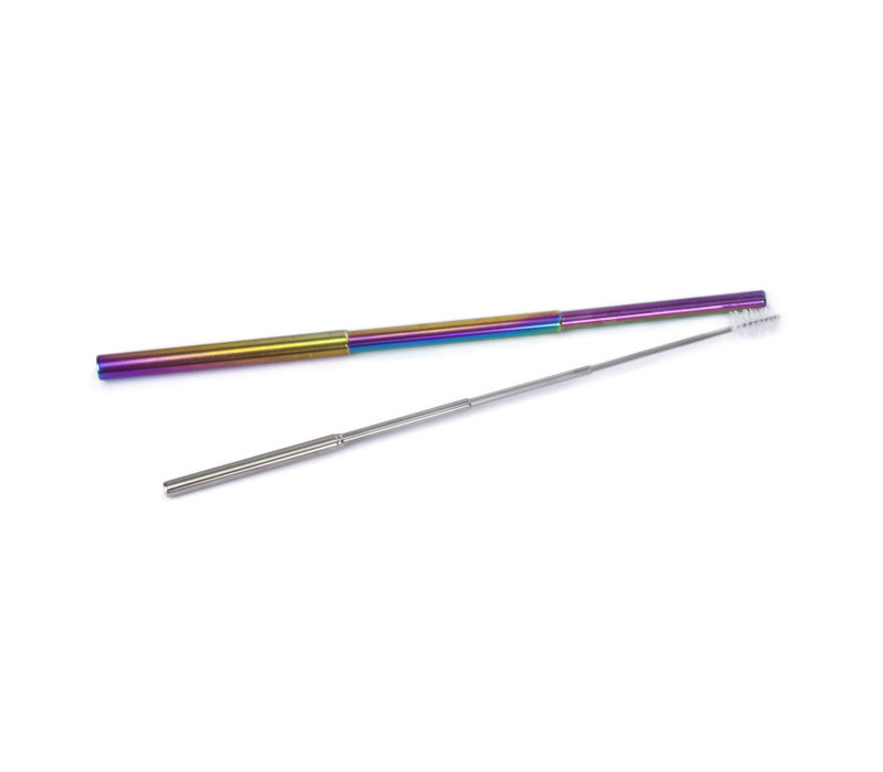 Helio Ferretti Telescopic Stainless Steel Straw Holo