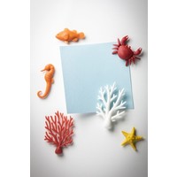 Qualy Ocean Ecology Magnets set of 6