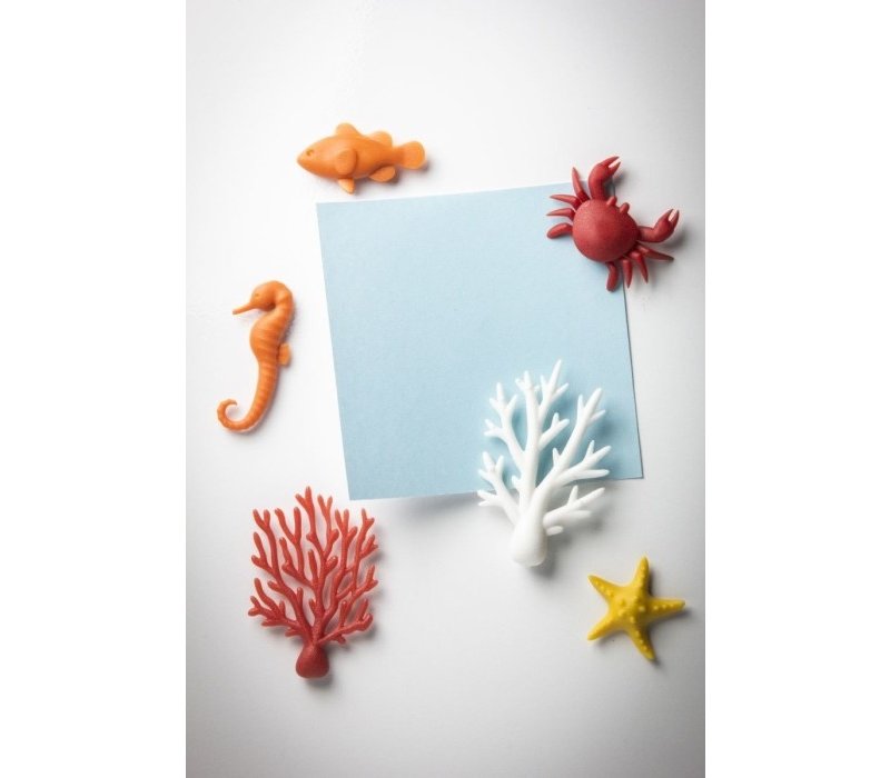 Qualy Ocean Ecology Magnets set of 6