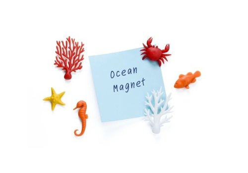 Qualy Qualy Ocean Ecology Aimants set de 6