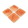 Rivsalt Rivsalt Assiettes de Sel Himalayen F&S