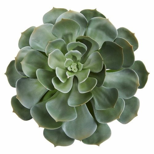 Present Time Artificial plant Hen Succulent Pick 