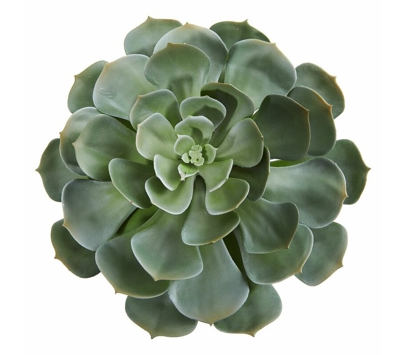 Present Time Artificial plant Hen Succulent Pick