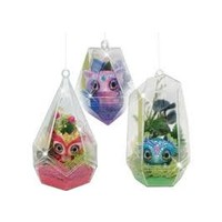 Nebulous Stars Air Diamond Terrariums