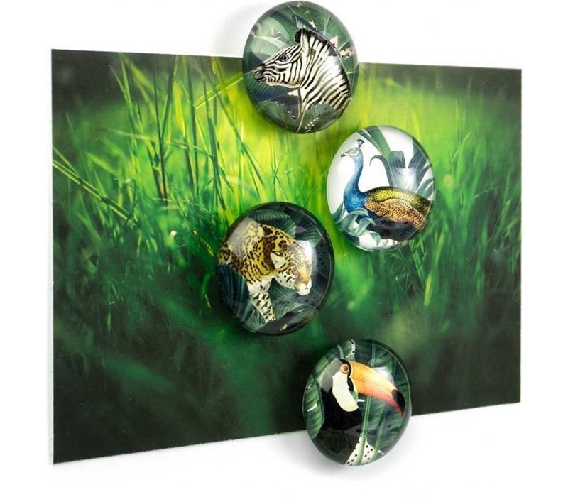 Trendform set of 4 Magnets Royal Garden