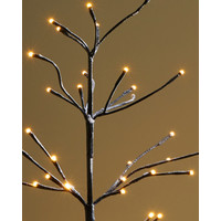 Sirius Isaac Kerstboom met 228 lichtjes Outdoor H 1,6 meter