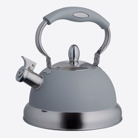 Typhoon Whistling Kettle Grey 2,5 L