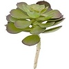 Present Time Present Time Artificial plant Hen Succulent Pick