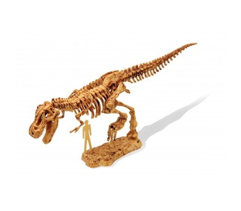 Buki Dinokit Uitgraaf SetTyrannosaurus
