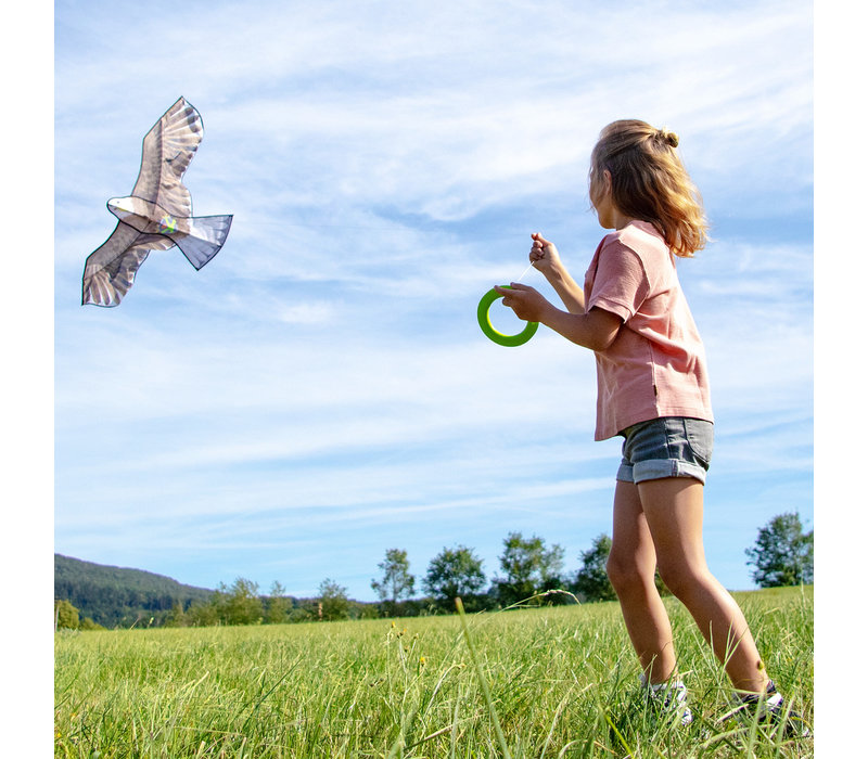 Haba Terra Kids Aigle cerf-volant