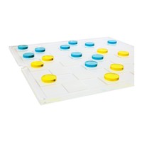 Sunnylife Lucite Chess & Checkers Rainbow