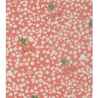 Jeune Premier Papier De Couverture Miss Daisy