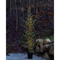 Sirius Milas Cedar H190cm