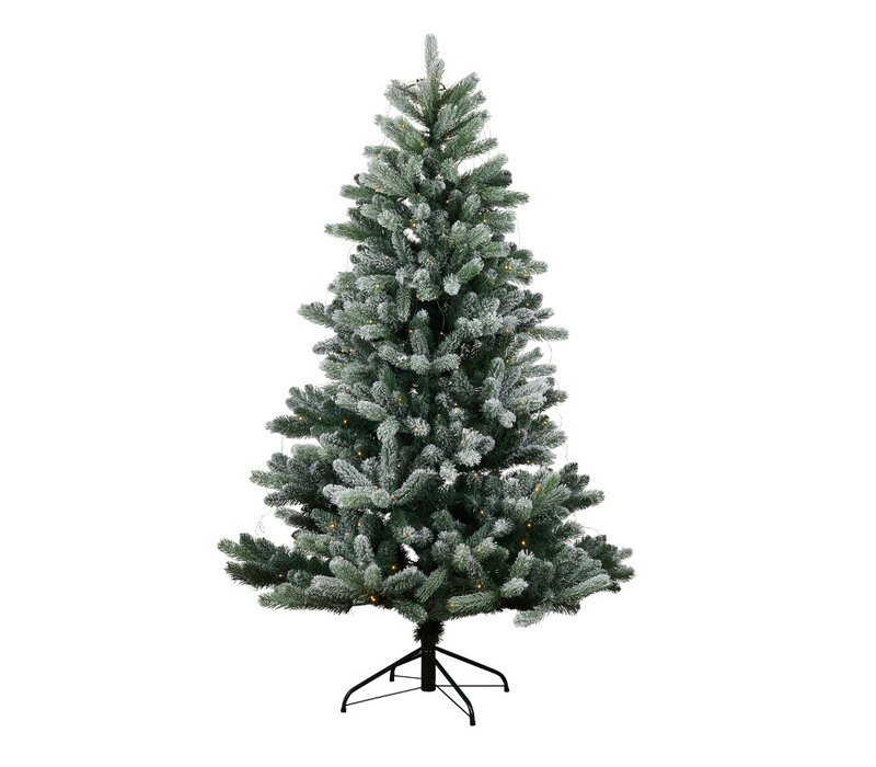 Sirius Anton Christmas tree 2.4 meters