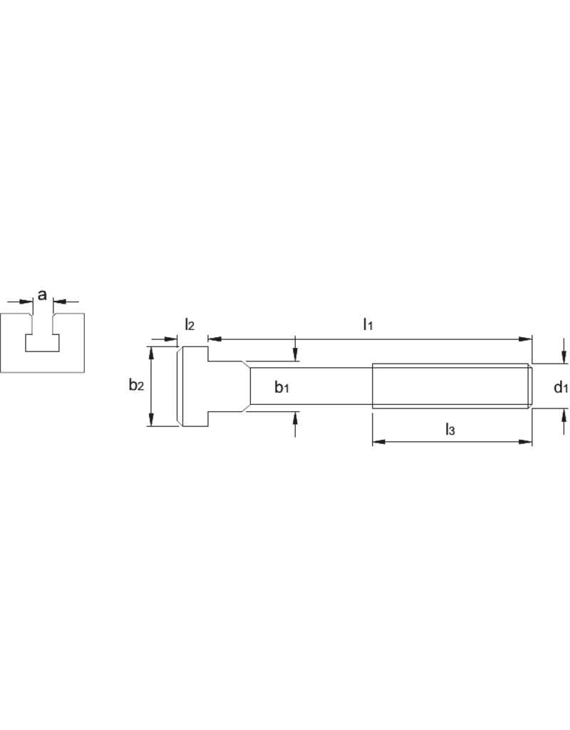 Phantom Phantom T-gleufbout M14 voor 14mm sleuf, kwaliteit 8.8 a16