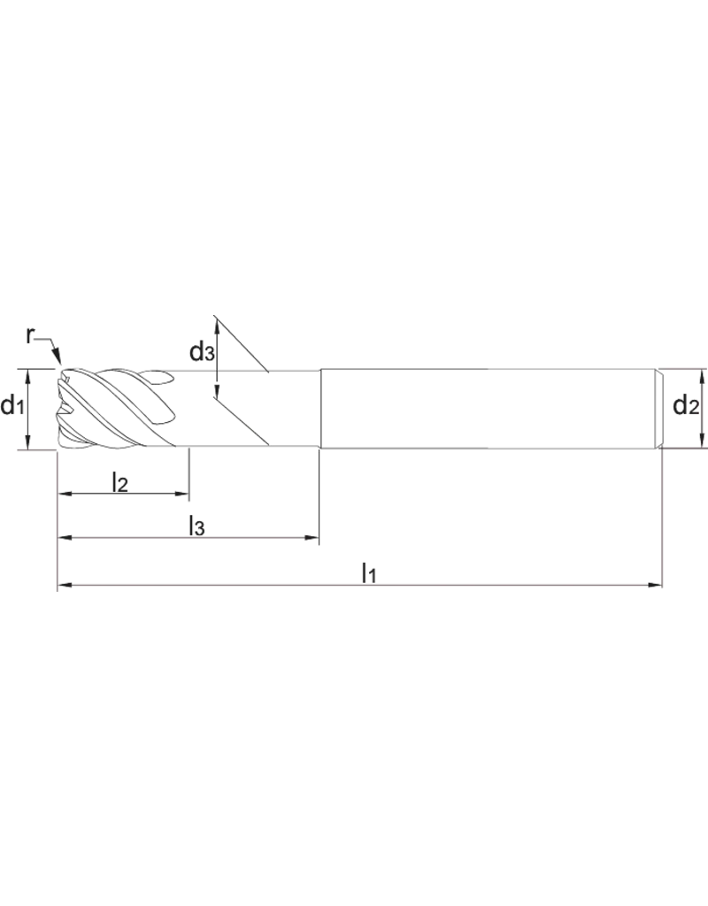 Phantom Phantom VHM Torusfrees, 6-snijder TiAlSiN, 45-70 HRc