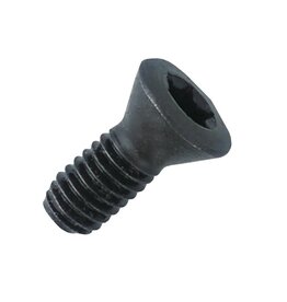Phantom Phantom Torxschroef M5X11 T20
