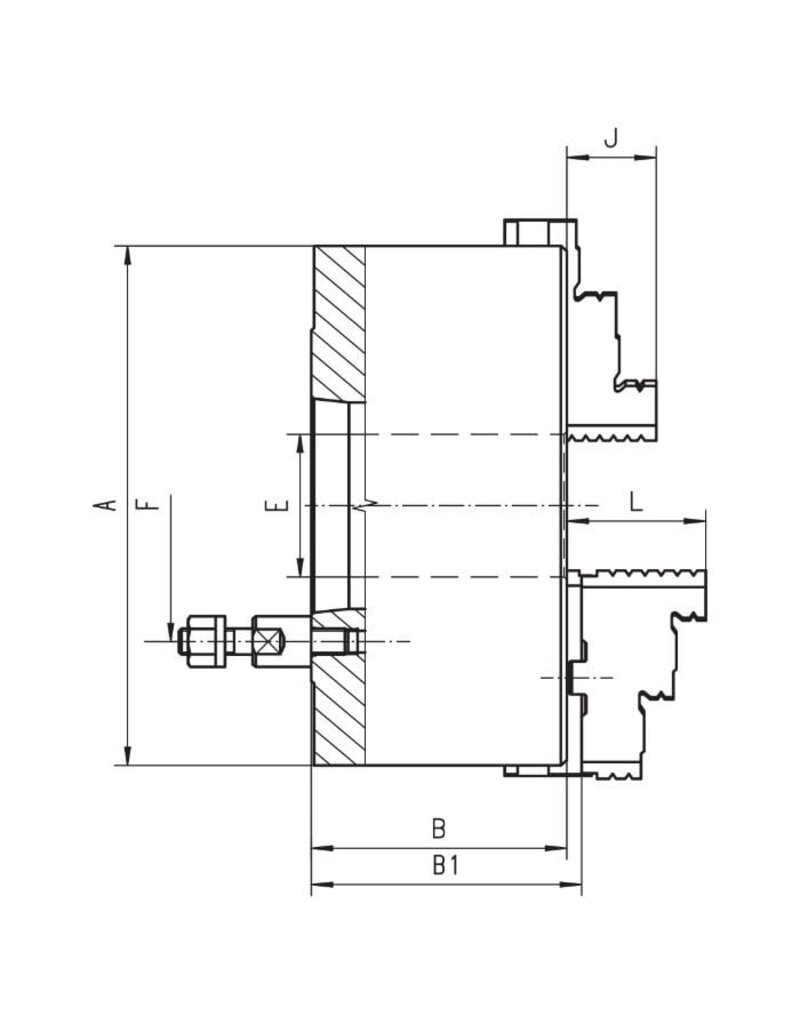 Bison Bison | 4-klauw, Zelfc, Giet., Type 3635,