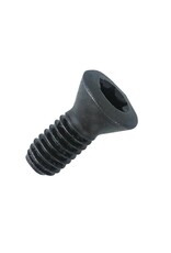 Phantom Phantom Torxschroef M2‚5X5 T8