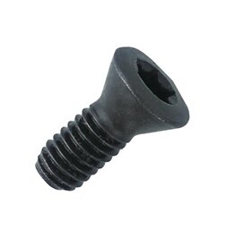 Phantom Phantom Torxschroef M2‚5X5 T8