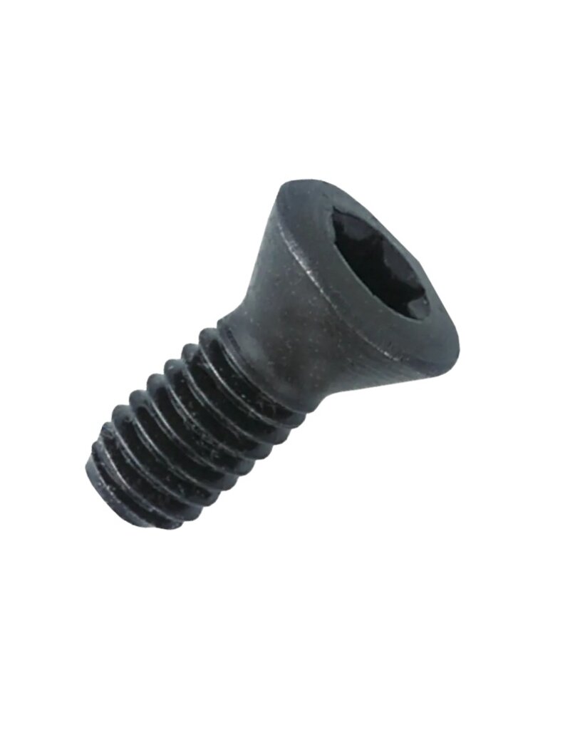 Phantom Phantom Torxschroef M2‚5X5 T8