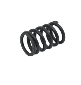 #92*1 Leadscrew Spring SCP300(A)