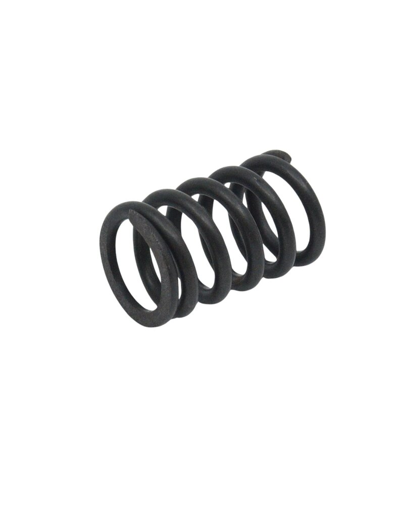 #92*1 Leadscrew Spring SCP300(A)