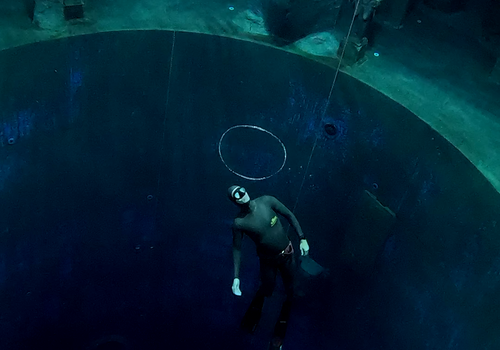 Freedive clinic 27-06-'26