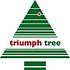 Emerald Pine - Groen - Triumph Tree kunstkerstboom