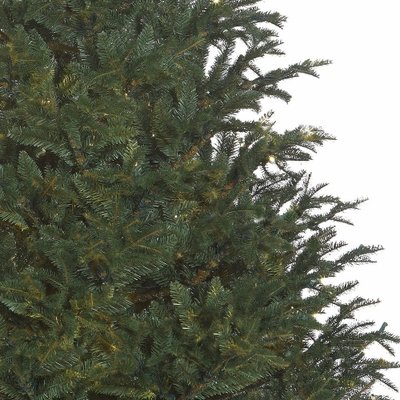 Frasier Fir - Blau-Grün - BlackBox künstlicher Weihnachtsbaum