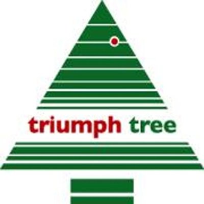 Nottingham Pine DELUXE - Groen - Triumph Tree kunstkerstboom