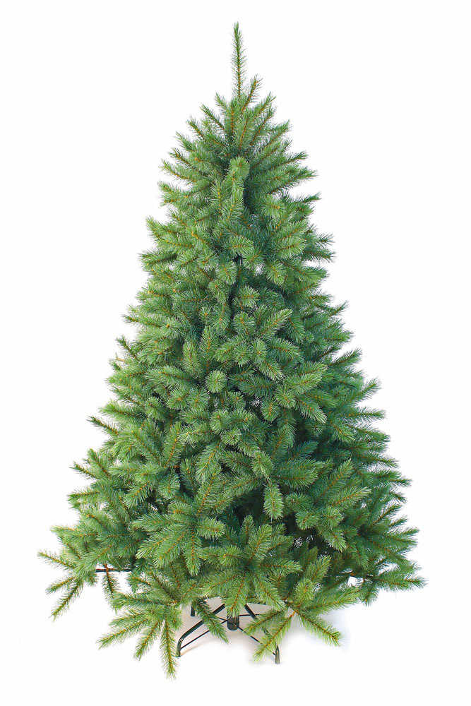 overspringen huilen middelen Shop Forest Frosted Pine - Groen-Blauw - Triumph Tree kunstkerstboom Online  - Plant New Day