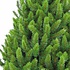 Richmond Pine - Groen - Triumph Tree kunstkerstboom