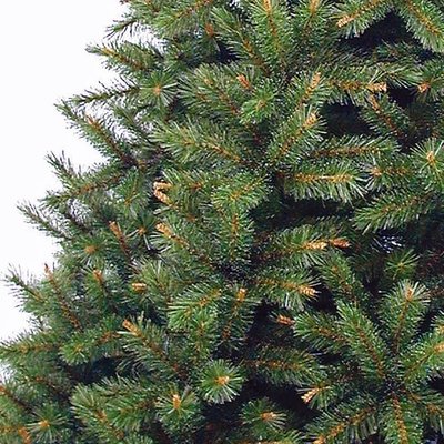 Sierra Pine - Groen - Triumph Tree kunstkerstboom