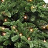 Abies Nordmann DELUXE LED - Groen - Triumph Tree kunstkerstboom