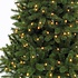 Bristlecone LED - Groen - Triumph Tree kunstkerstboom