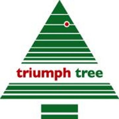 Tuscan Spruce - Groen - Triumph Tree kunstkerstboom