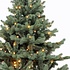 Sherwood Spruce LED - Blau - Triumph Tree künstlicher Weihnachtsbaum