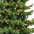 Sherwood DELUXE LED - Groen - Triumph Tree kunstkerstboom