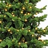 Sherwood DELUXE LED - Grün – Triumph Tree künstlicher Weihnachtsbaum