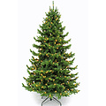 Sherwood DELUXE LED - Groen - Triumph Tree kunstkerstboom