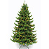 Sherwood DELUXE LED - Groen - Triumph Tree kunstkerstboom