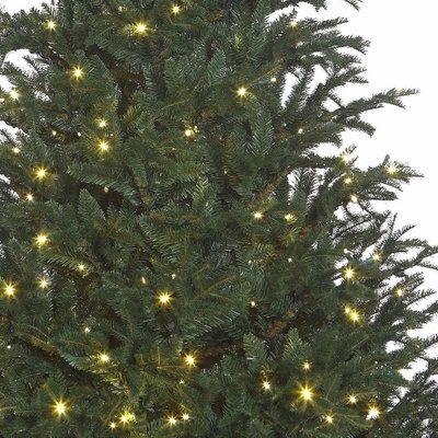 Frasier Fir LED - Blau-Grün - BlackBox künstlicher Weihnachtsbaum